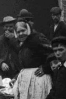 Life in Wexford Trailer
