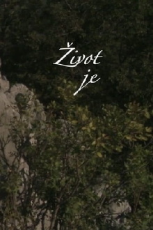 Life Is Trailer