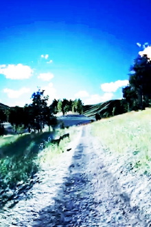life/like Trailer