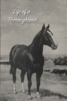 Life of a Thoroughbred Trailer