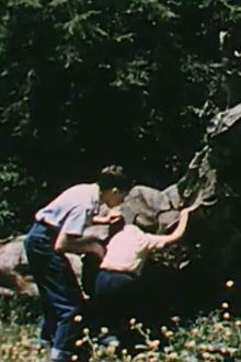 Life On a Dead Tree Trailer