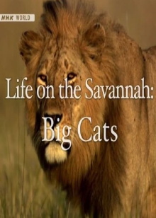 Life on the Savannah: Big Cats Trailer