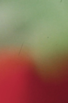 Light Licks: Pardes: Counting Flowers on the Wall Trailer