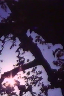 Light Point Trailer