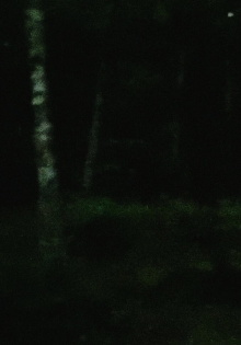 light rain, empty mind Trailer