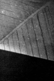 Light Shaft Trailer