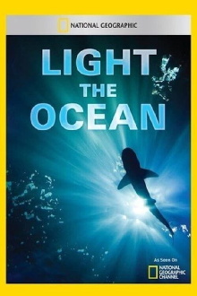 Light The Ocean Trailer