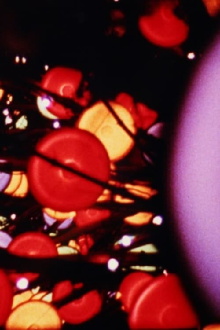 Lights Trailer