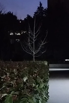 Lights on 2 Trailer