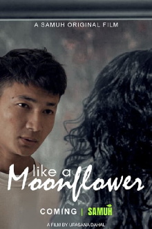 Like A Moonflower Trailer