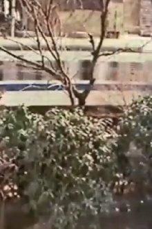 Like A Passing Train 2 Trailer