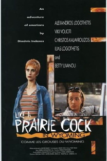 Like a Prairie Cock in Wyoming Trailer