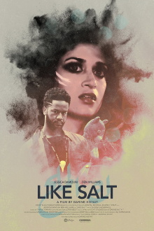 Like Salt Trailer