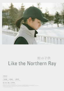 Like the Northern Ray Trailer
