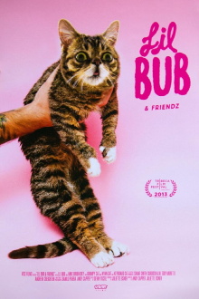 Lil Bub & Friendz Trailer