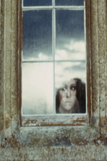 Lilford Hall Trailer