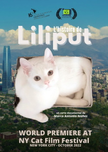 Liliput's Story Trailer