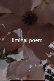 liminal poem Trailer