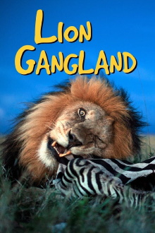 Lion Gangland Trailer