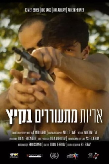 Lions Awake in the Summer Trailer