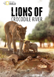Lions of Crocodile River Trailer