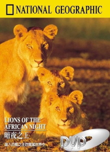 Lions of the African Night Trailer