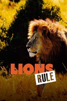 Lions Rule Trailer