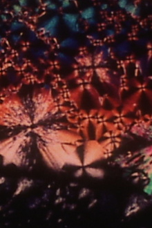 Liquid Crystals Trailer