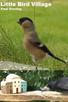 Little Bird Village Trailer