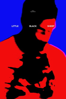 Little Black Sheep Trailer