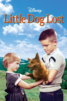 Little Dog Lost Trailer
