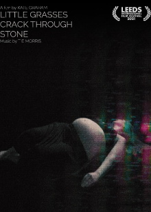 Little Grasses Crack Through Stone Trailer