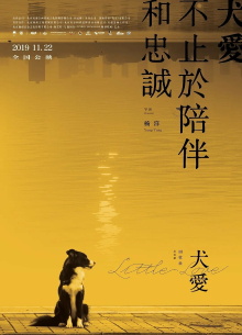 Little Love Trailer