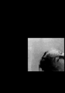 Little Movies. No. 5: Classical Cinema II Trailer