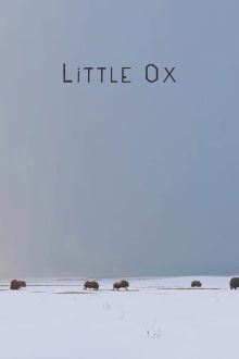Little Ox Trailer