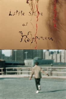 Little Stabs at Happiness Trailer
