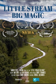 Little Stream, Big Magic Trailer