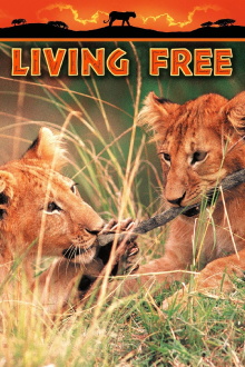 Living Free Trailer