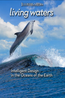 Living Waters Trailer