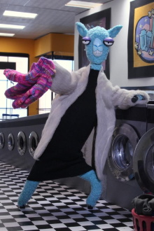Llamas at the Laundromat Trailer