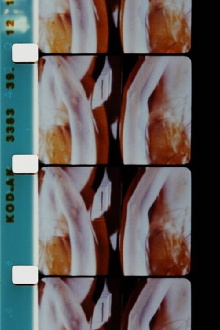 Log Abstract 1986 Trailer