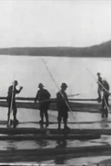 Logging in Maine Trailer