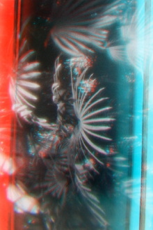 Lomokino Greenhouse Stereo Trailer