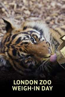 London Zoo Weigh-In Day Trailer