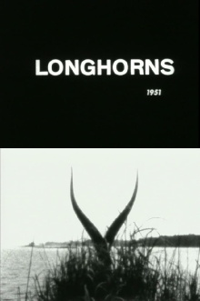 Longhorns Trailer