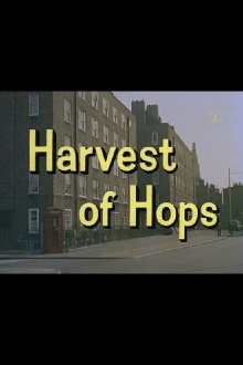 Look at Life: Harvest of Hops Trailer