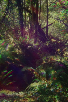 Look Then Below Trailer