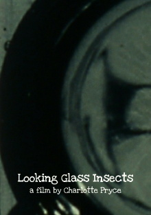 Looking Glass Insects Trailer
