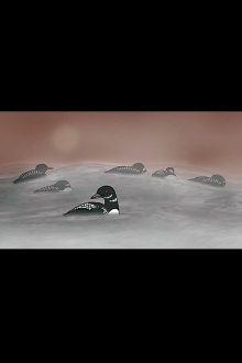 Loon Dreaming Trailer
