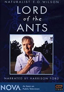 Lord of the Ants Trailer